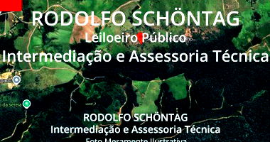 Terreno Rural 242 hectares em Piedade com grande potencial