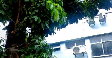 Sala Comercial na Tijuca com 48m²