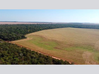Terreno Rural com 71,04 Hectares -