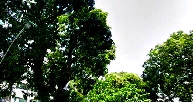 Apartamento Luxuoso com 3 Suítes e 3 Vagas em Belém