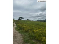 Fazenda São Francisco - 200,5 ha