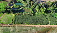 Imóvel Rural 6.909 m² com Potencial Agrícola