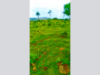 Terreno Rural com 117.970m² em Pranchita - PR