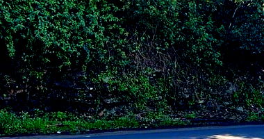 Terreno Urbano com 465m² em Mondaí/SC