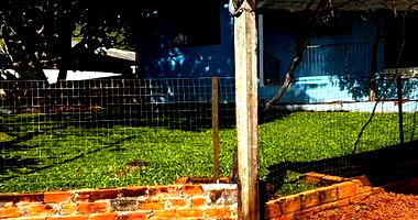 Chácara com 2 casas, piscina e área de 2.117m² em Arvoredo/SC