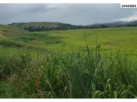Fazenda com 551,81ha em Governador Valadares/MG - Parte Ideal