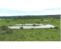 Terreno rural de 34,3156 ha em Urupá/RO, Lote 03, Gleba 09