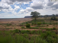 Fazenda com 263 hectares em Dianópolis/TO