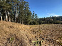 Terreno Rural 131.200m² com Casa e Galpões em Vidal Ramos