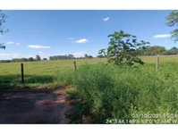 Terrenos Desocupados no Jardim Bela Vista