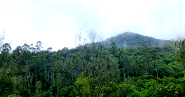 Chácara com 9.68 hectares em Tamanduá