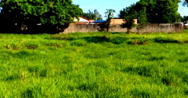 Dois Terrenos Amplos em Miracema do Tocantins