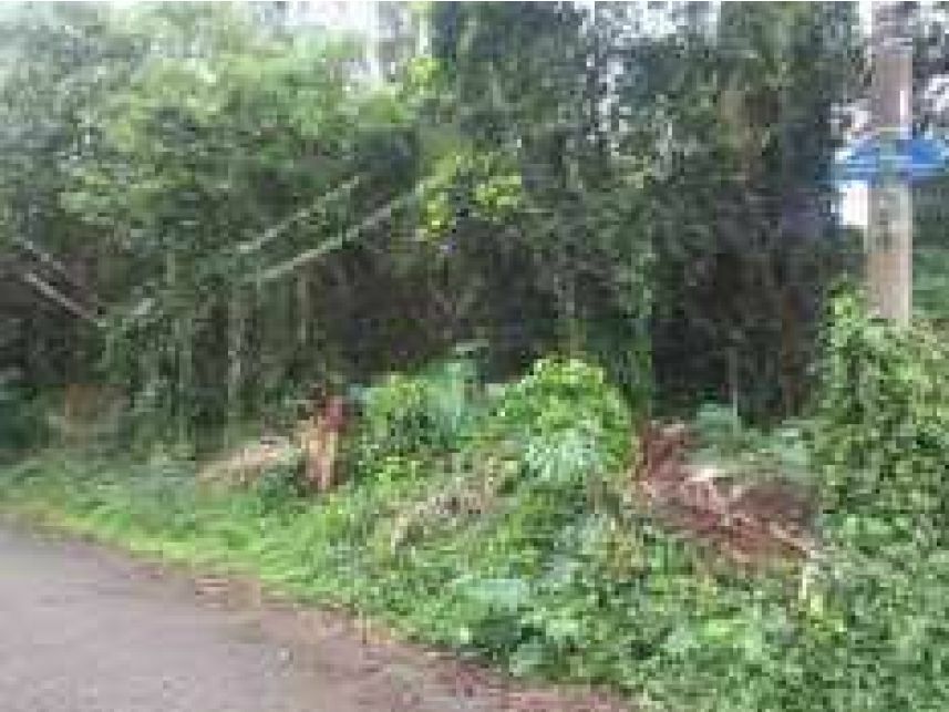 Terreno com 55.406 m² em leilão