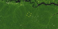Fazenda de Mata com 2.916ha em Itapiranga, AM