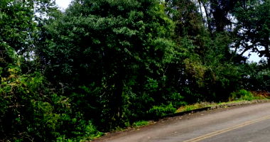 Terreno Urbano em Dionísio Cerqueira