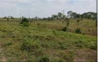 Terreno Rural 62,98 ha em Sena Madureira/AC - Assentamento Boa Esperança