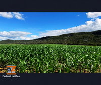 Fazenda 554ha com Pivôs e Energia Solar