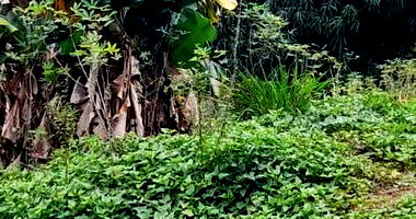 Terreno Urbano com 405,60m² em Cândido de Abreu/PR