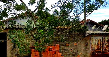 Direitos de Casa no Jardim Renascer com 43,18 m²