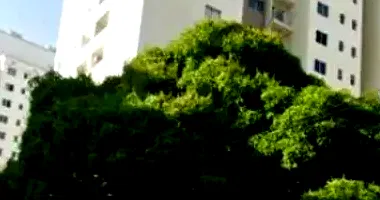 Apartamento Ocupado com 1 Vaga em Belo Horizonte
