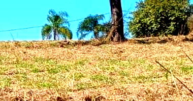 Terreno Desocupado em Carmópolis de Minas/MG - 1.000,00 m²