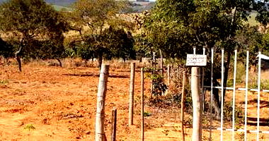 Terreno de 5.000m² em Planaltina/GO