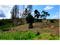 Terreno Rural com 58.046m² em Vila Pavão/ES