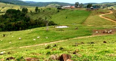 Imóvel Rural com 460,2527 Hectares em Reserva/PR