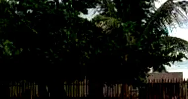 Casa padrão com 3 quartos, 2 banheiros, 1 vaga, 128m² construída, imóvel ocupado