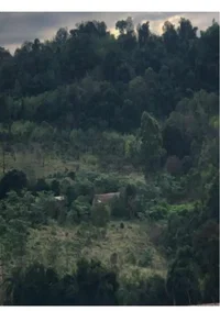 Terreno rural de 37.500m², sem benfeitorias, ideal para investimento
