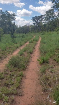 Fazenda Shell Gás com 565,52 hectares em Loreto/MA