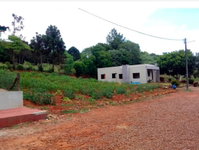 Terreno urbano em Ronda Alta/RS com 287,59m² -