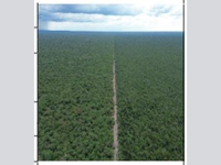 Área Rural de 59 Milhões de m² com Matrícula