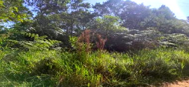Terreno Urbano em Cotia/SP com 1.367,01 m²