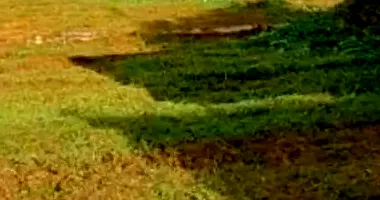 Terreno Amplo em Estância Itaici