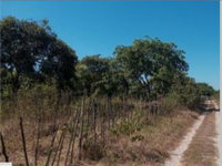 Terreno com 16.432m² em Curimatã