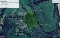 Área Rural com 5,8 Hectares de Mata Nativa em Braga/RS