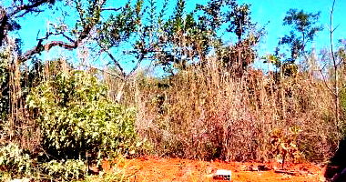 Terreno com Direitos Possessórios em Brasília