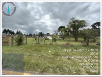 Imóvel comercial com barracão e casa residencial em Araucária