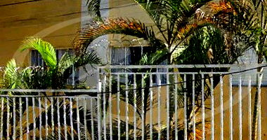 Apartamento 39m² com 1 Quarto na Vila Carmosina, São Paulo/SP