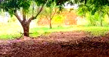 Lote Desocupado em Araçatuba com 300 m²