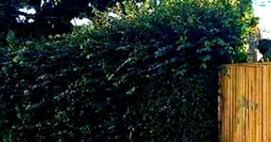 Casa padrão com 3 quartos, 2 banheiros, 2 vagas, 269m² construída, ocupada