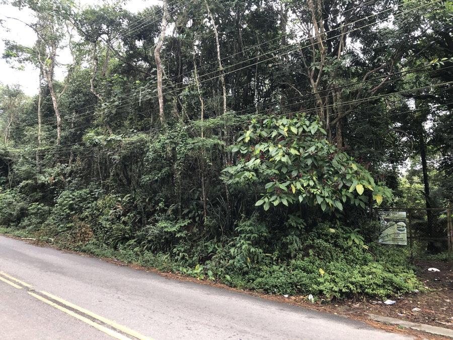 Chácara Ampla com 5.877m² em São Paulo - Desocupada