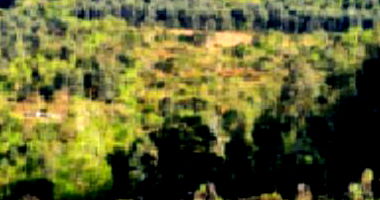 Terreno rural amplo com 145.310m² em Tangará/SC, sem benfeitorias