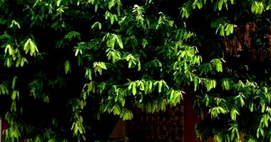 Residencial/Comercial com 258m² em Santa Cruz do Monte Castelo/PR