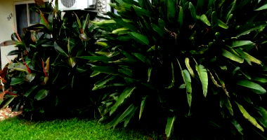 Parte de Lote com Casa Residencial em São Domingos do Sul/RS