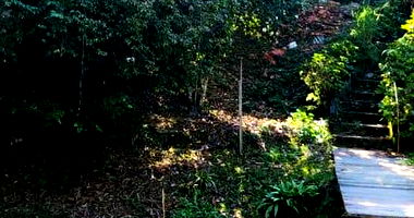 Terreno Amplo de 1.930m² no Parque dos Jacarandás em Arujá