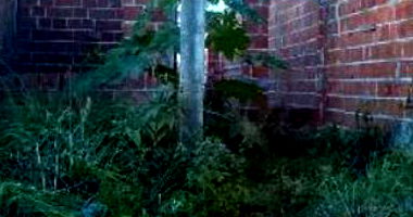 Terreno com 125m² em São Cristóvão/SE