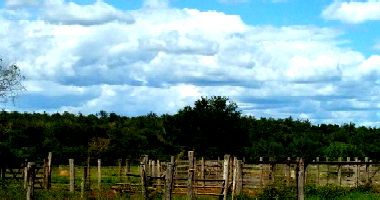 Imóvel Rural com 18.760ha em Santa Rita de Cássia/BA