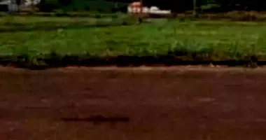 Terreno amplo em Jardim Bela Vista com 880,18m² - Oportunidade!